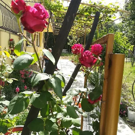 Gospodarstwo wiejskie сириус *