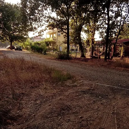 Lantställe сириус Sinemoretz