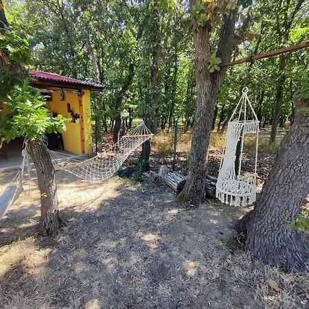 Lantställe сириус