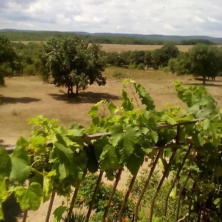 сириус * Szinemorec